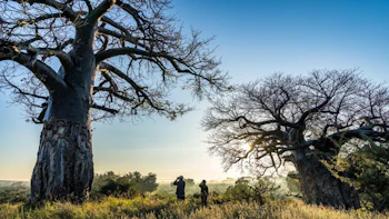 RETURN Africa Baobab Hill House Landscape
